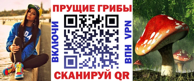 Купить закладки  Крымск  Псилоцибиновые грибы Psilocybe 