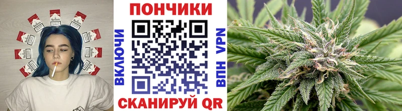 Купить закладки  Крымск  Канабис планчик 